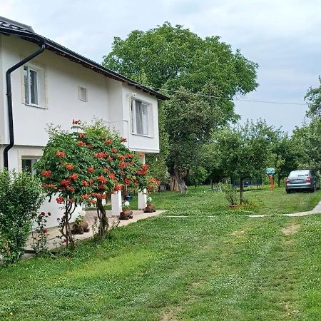 Hostal Casa Pandrea Cîrţişoara Exterior foto