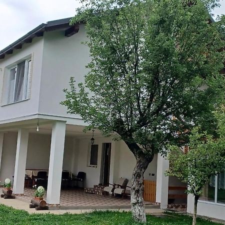 Hostal Casa Pandrea Cîrţişoara Exterior foto