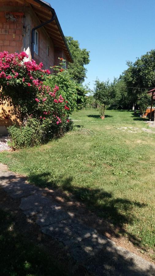 Hostal Casa Pandrea Cîrţişoara Exterior foto