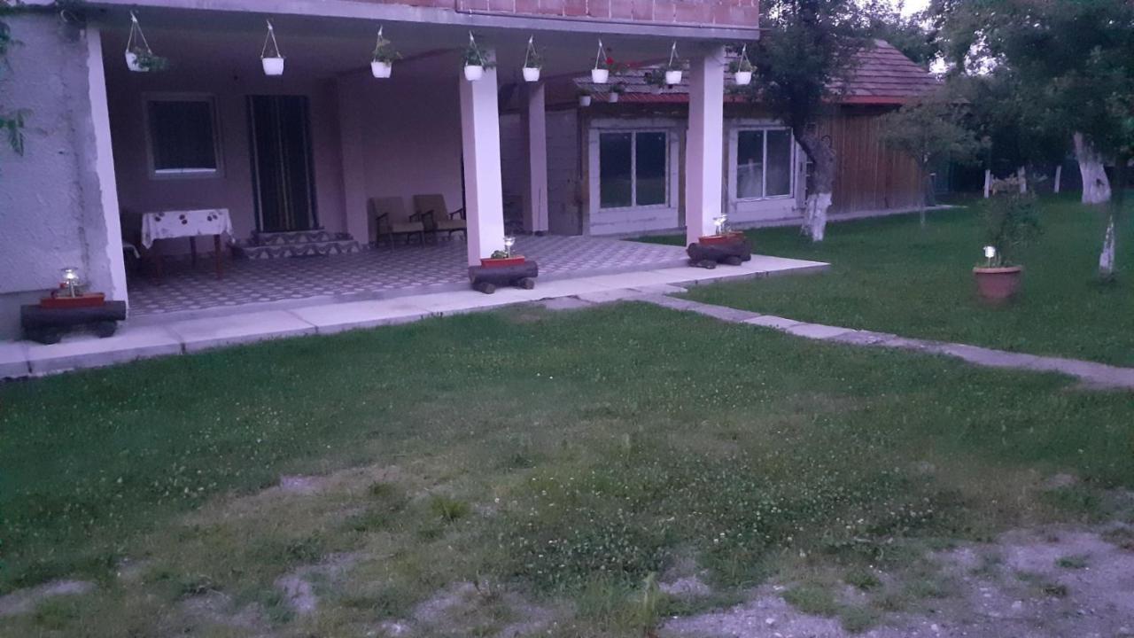 Hostal Casa Pandrea Cîrţişoara Exterior foto
