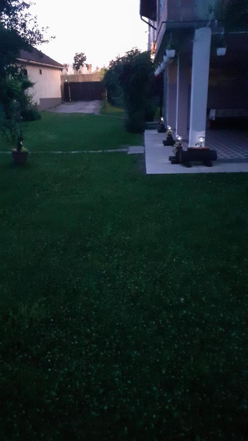 Hostal Casa Pandrea Cîrţişoara Exterior foto