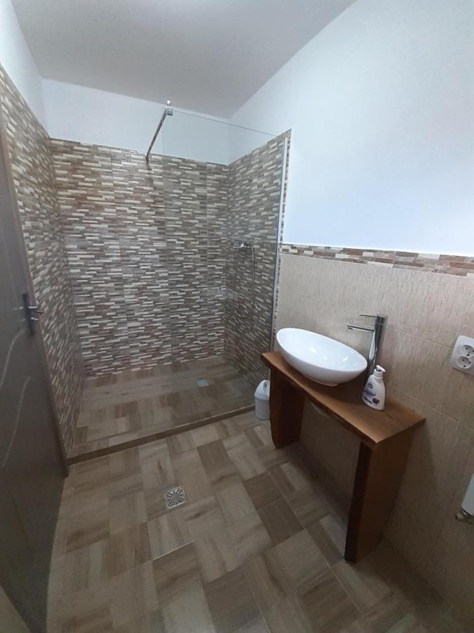 Hostal Casa Pandrea Cîrţişoara Exterior foto