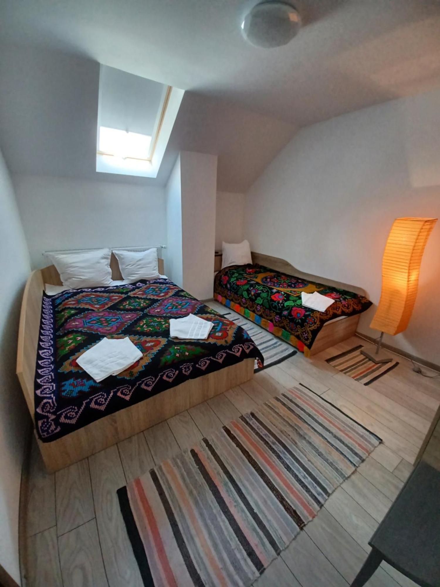 Hostal Casa Pandrea Cîrţişoara Exterior foto