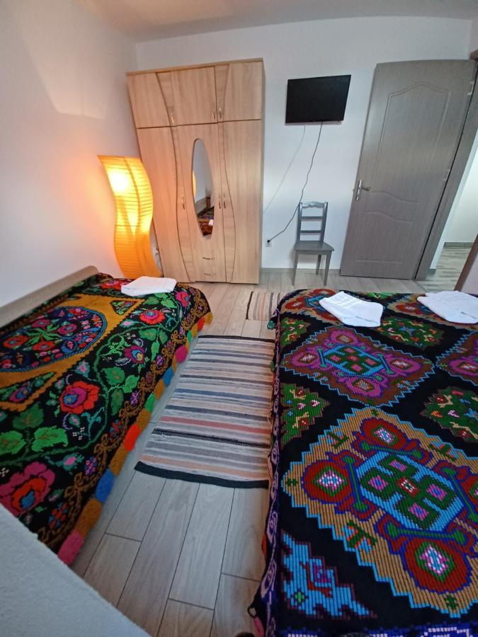 Hostal Casa Pandrea Cîrţişoara Exterior foto