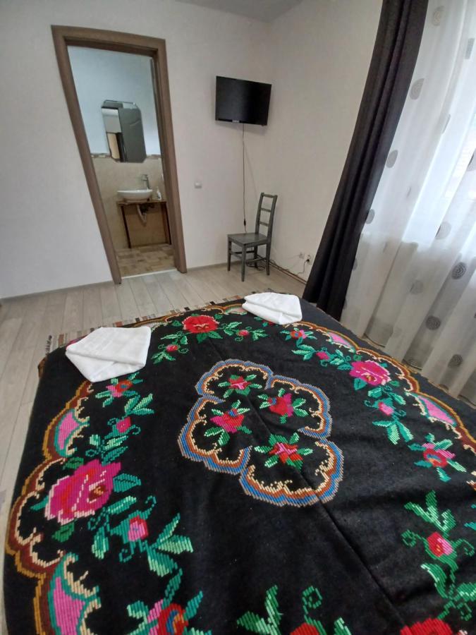 Hostal Casa Pandrea Cîrţişoara Exterior foto