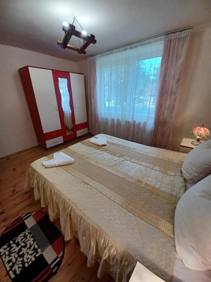 Hostal Casa Pandrea Cîrţişoara Exterior foto