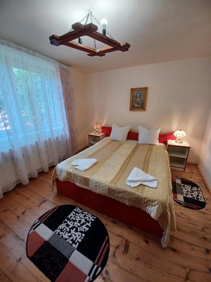 Hostal Casa Pandrea Cîrţişoara Exterior foto