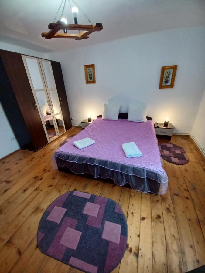 Hostal Casa Pandrea Cîrţişoara Exterior foto