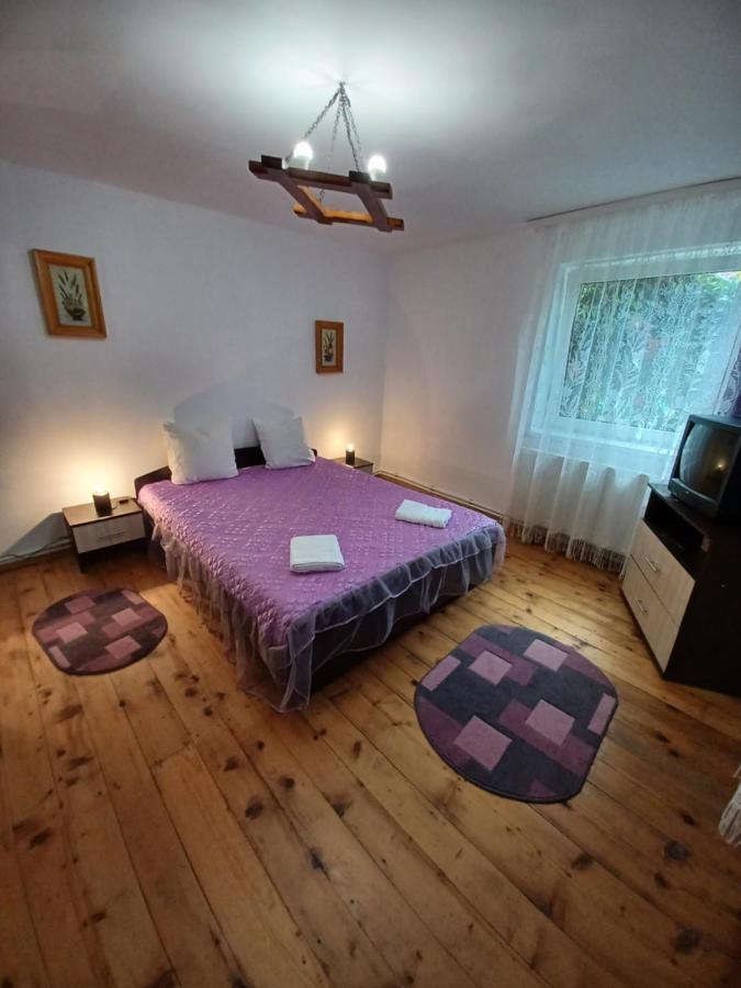 Hostal Casa Pandrea Cîrţişoara Exterior foto