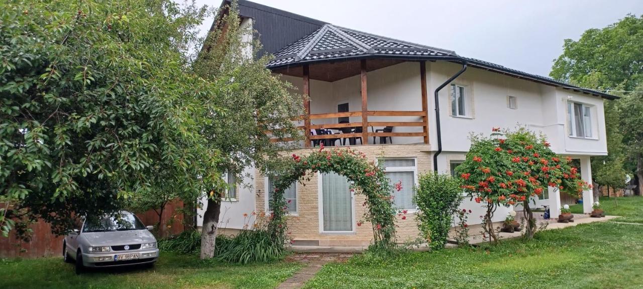 Hostal Casa Pandrea Cîrţişoara Exterior foto