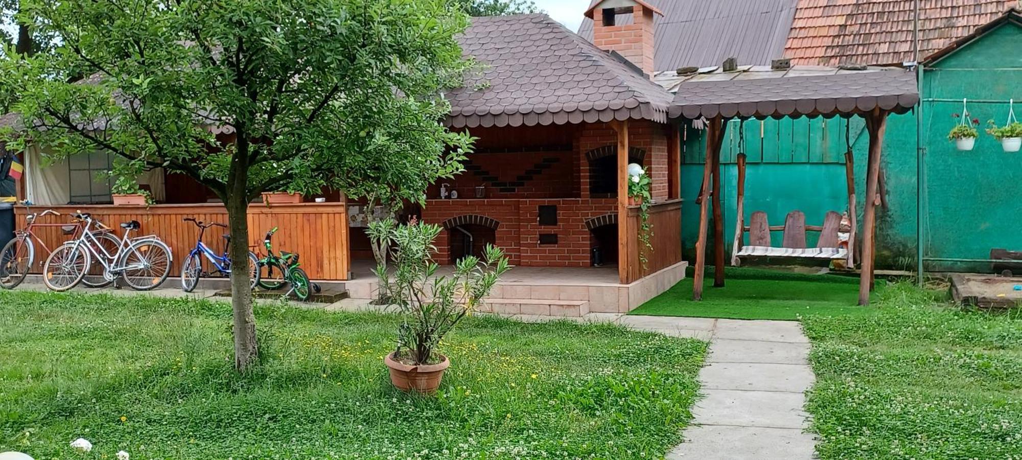Hostal Casa Pandrea Cîrţişoara Exterior foto